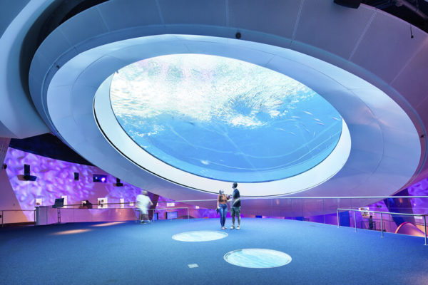 Surroundings - Phillip and Patricia Frost Museum of Science - Novotel Miami Brickell